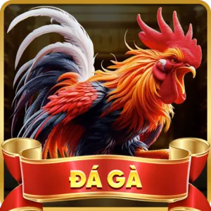 Giấy phép hoạt động